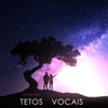 Tetos Vocais