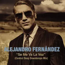 Se Me Va la Voz (Central Deep DownTempo Mix) - Single - Alejandro Fernández