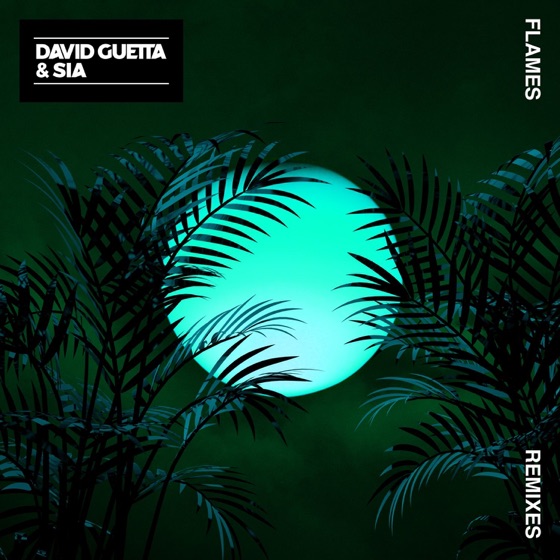 Cover artwork for Flames (Vladimir Cauchemar Remix)