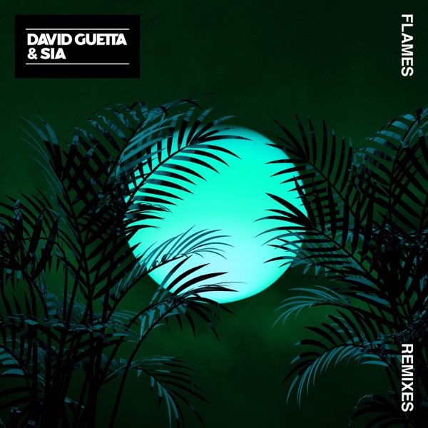 David Guetta - Flames