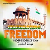 Celebrating Freedom - Independence Day artwork