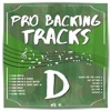 Pro Backing Tracks D, Vol. 10 artwork