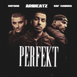 Raf Camora - Perfekt