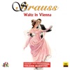 Strauss: Waltz in Vienna