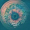 Concentric Circles - Andrew McDonnell lyrics