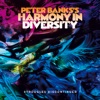 Peter Banks's Harmony in Diversity: Struggles Discontinued