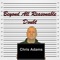 Fly (feat. Nick Drake) - Chris Adams lyrics