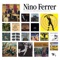 Pour Oublier Qu'On S'Est Aimé - Nino Ferrer lyrics