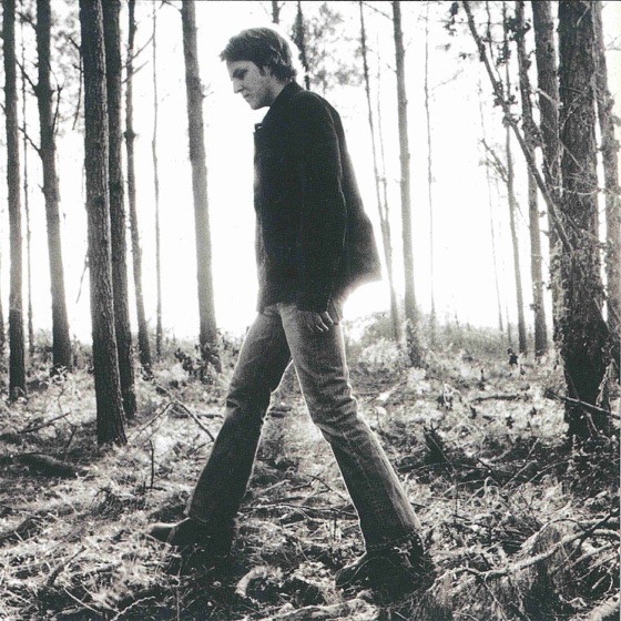 Cover artwork for Simple Things