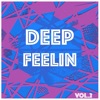 Deep Feelin, Vol. 2 - Selection of Deep House