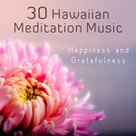 Mantra Music Center - Aloha I Am Gratefull