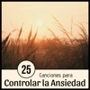 25 Canciones para Controlar la Ansiedad - 2 Horas de la Mejor Música Antiestrés con Sonidos Relajantes