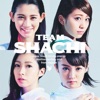 TEAM SHACHI - Hello, Team Shachi
