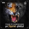 Tyson El Dominicano - Matando la Competencia