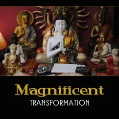 Magnificent Transformation – Buddhism for Beginners, Immediately Stress Relief, Peace with Zen, 50 Qualities of Awareness by Mindfulness Meditation Academy album reviews, ratings, credits