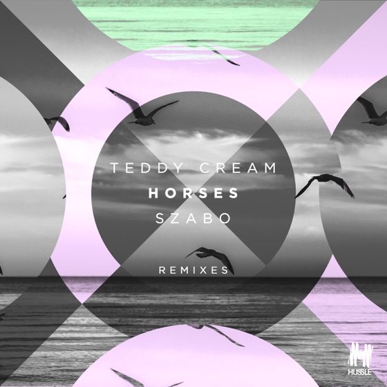 Cover artwork for Horses (HiFi Charlie Remix)