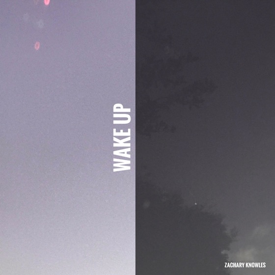 Cover artwork for Wake Up