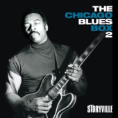 The Chicago Blues Box 2, Vol. 3 (feat. Sylvester Boines & Tyrone Centuray) artwork