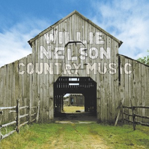 Willie Nelson - Freight Train Boogie - Line Dance Music