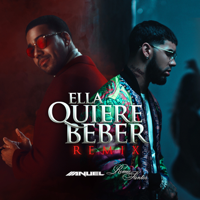 Anuel AA - Ella Quiere Beber (feat. Romeo Santos) [Remix] artwork