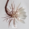 When Spring Is Coming (feat. Michael Stenmark) - Single