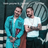 Liam Payne & J Balvin - Familiar artwork