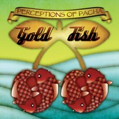 Perceptions of Pacha (Extended Version) artwork