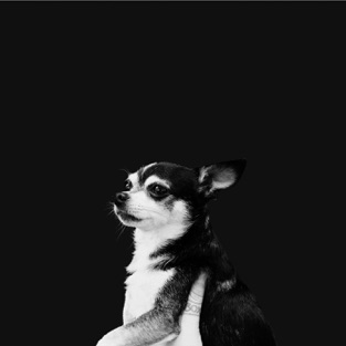 And The Kids - When This Life Is Over (2019) LEAK ALBUM