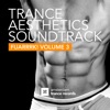 Trance Aesthetics Soundtrack Fuarrrk!, Vol. 3, 2013