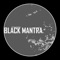 Black Mantra - Steve Shaden lyrics
