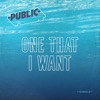 One That I Want - Single