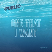 One That I Want by Public