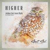 Higher (Delarox Remix) [feat. Cassie Wylde] artwork