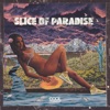 Slice of Paradise - Single