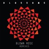 Blown Rose (Remixes) - Single