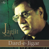 Hothon Se Chhu Lo Tum (From "Prem Geet") - Jagjit Singh