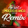 Am Iubit O Moldoveanca (Remix) - Single