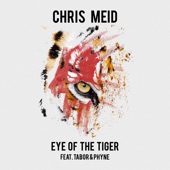 Eye of the Tiger (feat. Tabor & Phyne) artwork