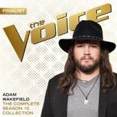 The Conversation (The Voice Performance) artwork