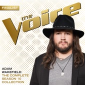 Adam Wakefield - Can’t You See - The Voice Performance