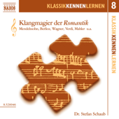Klangmagier der Romantik: KlassikKennenLernen 8 - Stefan Schaub