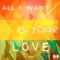 All I Want Is Your Love - Kilotile lyrics