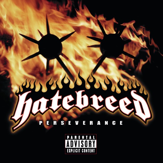 Cover artwork for Perseverance