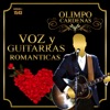 Voz y Guitarras Románticas