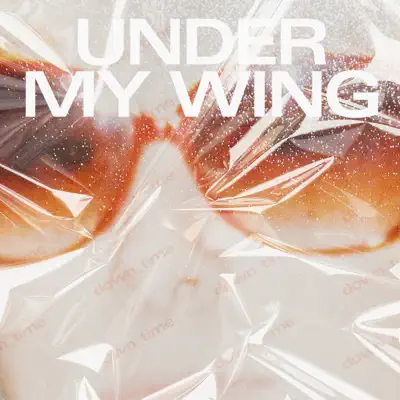 Under My Wing - Single - Young Galaxy