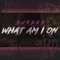 What Am I On - Burden lyrics