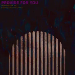 Provide for You - Single by Santiago Ser Peir album reviews, ratings, credits