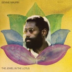 Bennie Maupin - Mappo