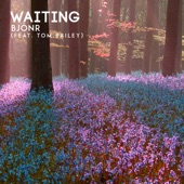Waiting (feat. Tom Bailey) [Radio Edit] artwork