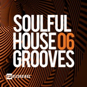 Soulful House Grooves, Vol. 06 artwork